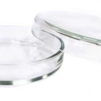 Чашка Петри: как использовать и как выбрать подходящий материал