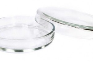 Чашка Петри: как использовать и как выбрать подходящий материал