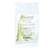 Будра плющевидная 50 г