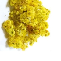 Бессмертник песчаный (Цмин) цветки NarodFarma 50 г