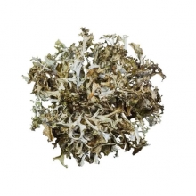 Исландский мох (Цетрария) NarodFarma 50 г