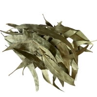 Эвкалипт листья NarodFarma 50 г