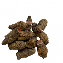 Ирис болотный корень NarodFarma 50 г