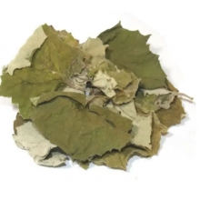 Мать-и-мачеха листья NarodFarma 50 г