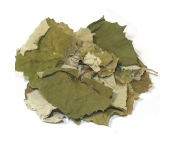 Мать-и-мачеха листья NarodFarma 50 г