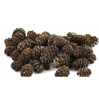 Ольха шишки Narodfarma 50 г