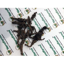 Петров крест 50 г