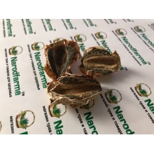 Веселка гриб сушеный 50 г