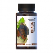 Гриб Чага Грибная Аптечка 120 капсул