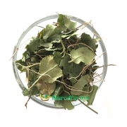 Боровая матка (Ортилия) трава NarodFarma 50 г