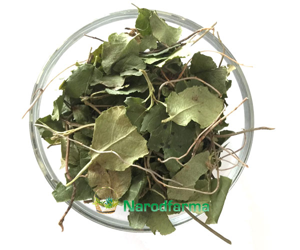 Боровая матка (Ортилия) трава NarodFarma 50 г