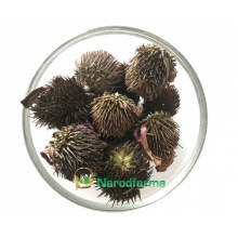 Эхинацея цветки 50 г