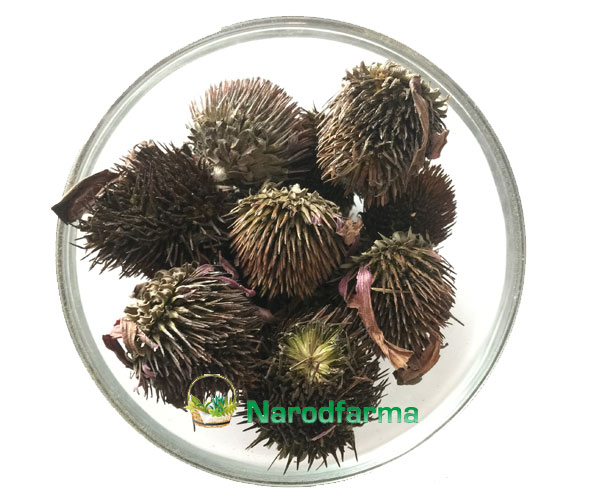 Эхинацея цветки 50 г