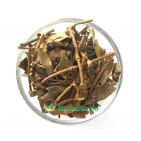 Омела белая лист с веткой NarodFarma 50 г