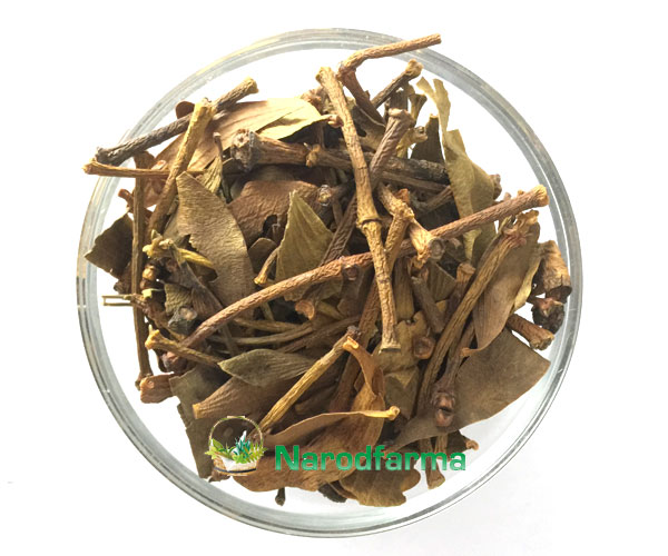 Омела белая лист с веткой NarodFarma 50 г