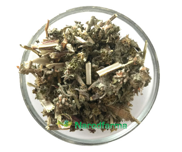 Пустырник трава 50 г