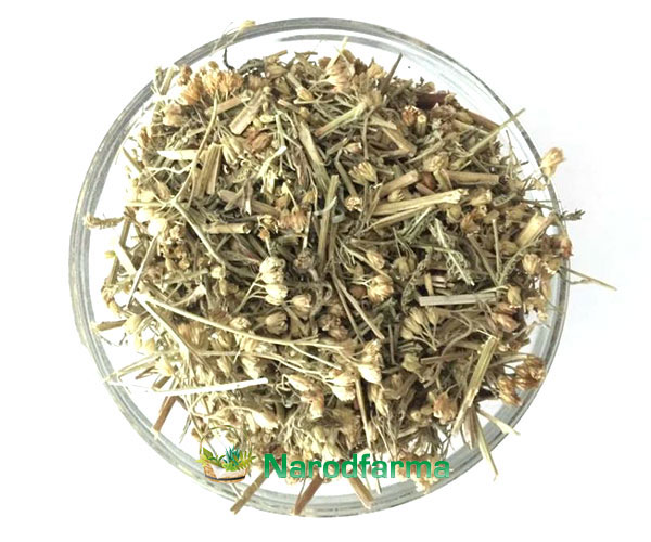 Тысячелистник 50 г