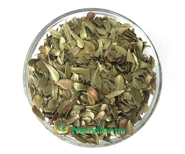 Толокнянка лист NarodFarma 50 г