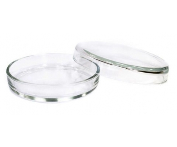 Чашка Петри стеклянная 100 мм с крышкой 110 мм Стеклоприбор