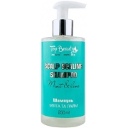 Шампунь для глубокого очищения Top Beauty Мята и Лайм 250 мл